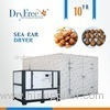 Commercial Solar Integrated Heat Pump Food Drying Machine For Squid