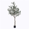 Plastic Big Olive Tree