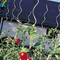 1.8m Length 6mm Diameter Galvanized Tomato Spiral Rod/Tomato Spiral Stick /Tomato for Garden