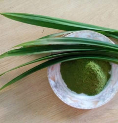 DRY PANDAN LEAF/ PANDAN POWDER