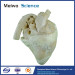 Medical heart of cow plastinated specimen