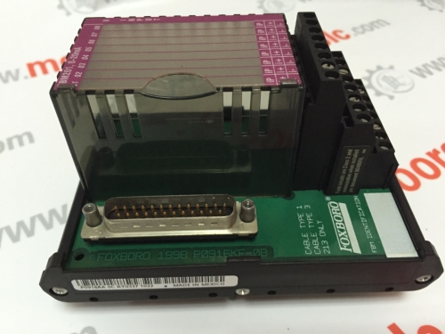 P0916AG | FOXBORO | Input Module