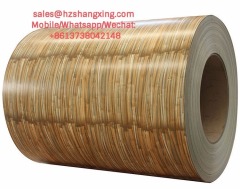 galvanized ppgi steel coils sheet