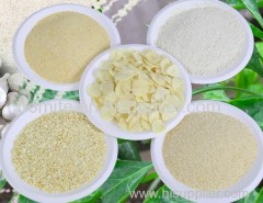Dehydrated Garlic Flakes / Powder