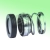 type 21 elastomer bellow seal