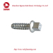 Ss35 Screw Spike with Uls7