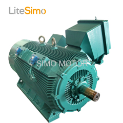 High quality three phase induction motor alpak induction motor 3kv motor