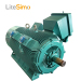 High quality three phase induction motor alpak induction motor 3kv motor