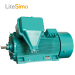 High quality three phase induction motor alpak induction motor 3kv motor