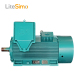 High quality three phase induction motor alpak induction motor 3kv motor