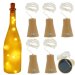 Wine Bottle 10 LED Copper Wire Warm White Solar Lighting