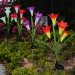 Color Changing Solar Lily Flower Outdoor Stake Lighting