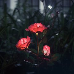 Outdoor Decorative Solar Rose LED Lights