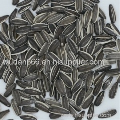 Chinese Sunflower Seeds for Export