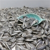 Sunflower Seeds for Human Consumption