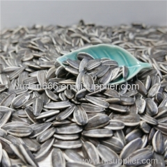 Sunflower Seeds for Human Consumption