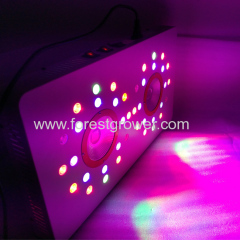 504w full spectrum top quality cob led grow lights with switchable control for BLOOM VEG COB