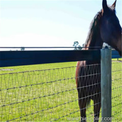 12.5 Gauge Safe fence mesh And Charming Field Fencing For Horses