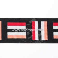 4cm Polyester Spandex Embroidered elastic band