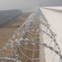 Wholesale Different Blade Razor Wire in Coils (Factory)