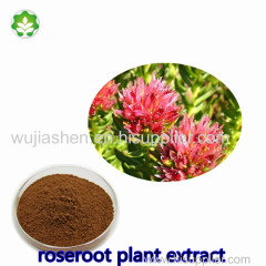 rhodiola roanensis extract increasing body's resistance