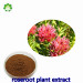 rhodiola roanensis extract increasing body's resistance