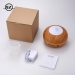 Outstanding Design 300ml Portable Aroma Diffuser Humidifier