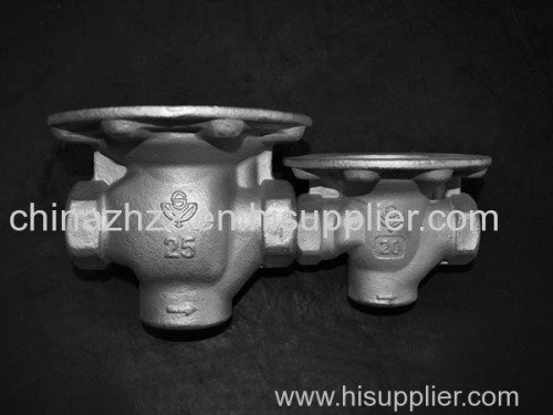 Customized Butterfly valve body casting-China casting