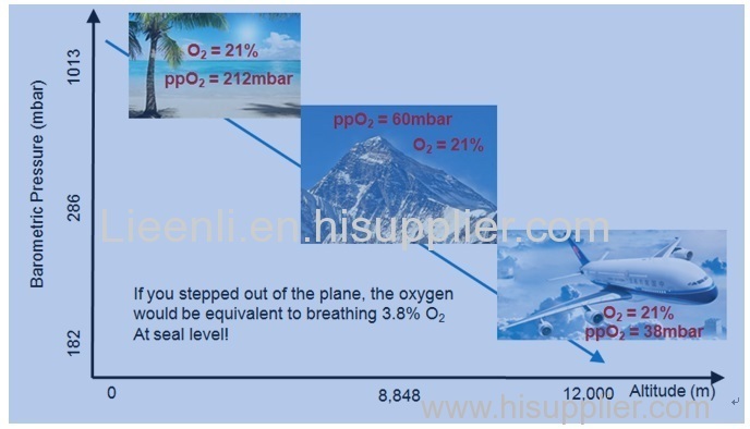 Application of Fluorescent Oxygen Sensors in Diffusion Type Oxygen Supply