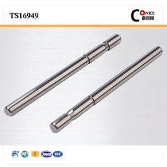 china suppliers non-standard customized design precision worm shaft