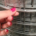 China Manufacturer Galvanized Wire Mesh in Roll and Panel PVC Coated Welded Wire Mesh for Protection Fence