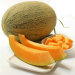 yellow skin with net hybrid musk melon seeds f1