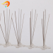 eco-friendly stocked anti bird spikes customized