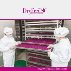 large capacity rose dry machine