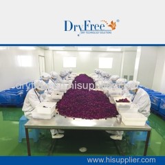 large capacity rose dry machine