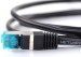 Cat6 network patch cable