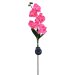 Solar Garden Light with Butterfly Orchid Outdoor Stake