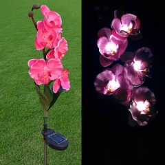 Solar Garden Light with Butterfly Orchid Outdoor Stake