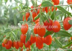 2018 new crop dried goji berry