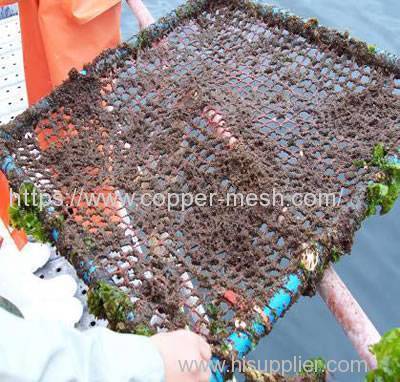 Copper Alloy Fish Cage