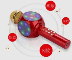 Wireless Bluetooth KTV Karaoke Microphone Speaker USB flash LED Lights