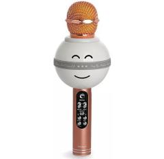 Smile portable wireless bluetooth microphone karaoke speaker