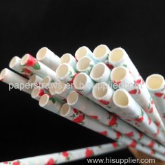 Eco paper straws recycled Biodegradable colorful Paper Straws