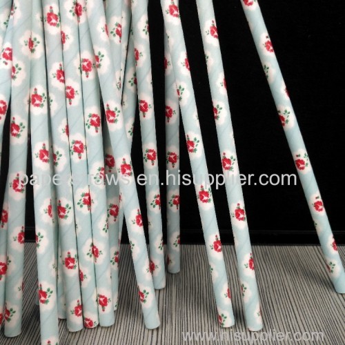 Custom Aardvark 10mm Paper Drinking Straws