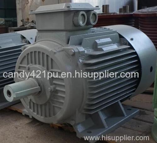 china Permanent Magnet Generator