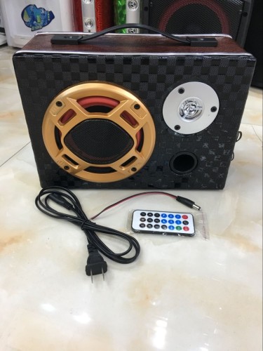 good quality Subwoofer speaker with car 220V charge