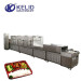 Conveyor Belt Microwave Heating Equipment For Lunch Box