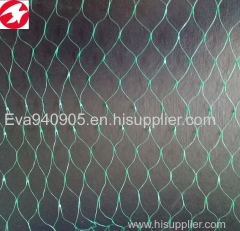 China factory directly supply HDPE plastic green anti-bird netting for agricultural