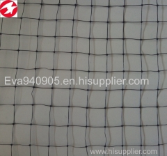 China factory directly supply HDPE plastic green anti-bird netting for agricultural