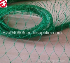 China factory directly supply HDPE plastic green anti-bird netting for agricultural